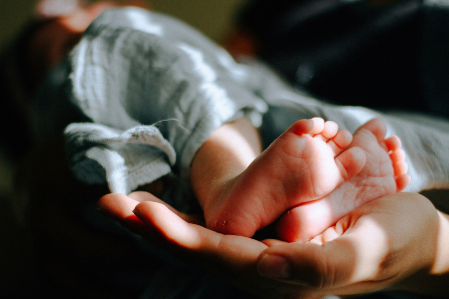 Μεταφορά τεχνογνωσίας για σύσταση Εθνικού Παρατηρητηρίου για το Δημογραφικό - Οι βασικοί άξονες