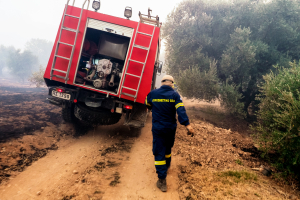 Υπό έλεγχο η φωτιά στην Εύβοια, σε επιφυλακή η πυροσβεστική