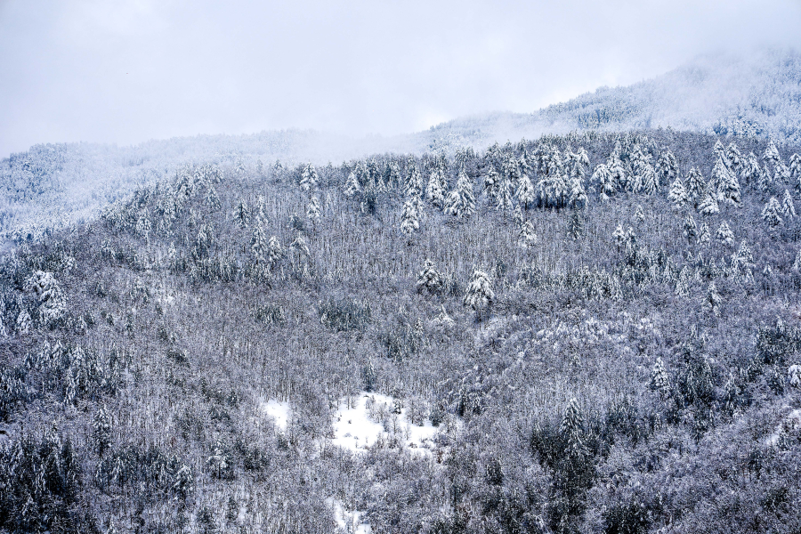 Νέο έκτακτο δελτίο καιρού με «πορτοκαλί προειδοποίηση»: Πού θα χιονίζει μέχρι το Σάββατο - Τι ισχύει για Αττική