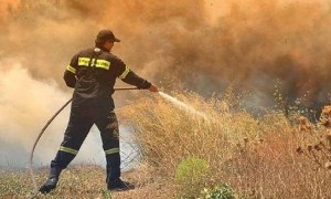Τρία πύρινα μέτωπα στην Ηλεία – Η φωτιά κυκλώνει το χωριό Μάκιστος
