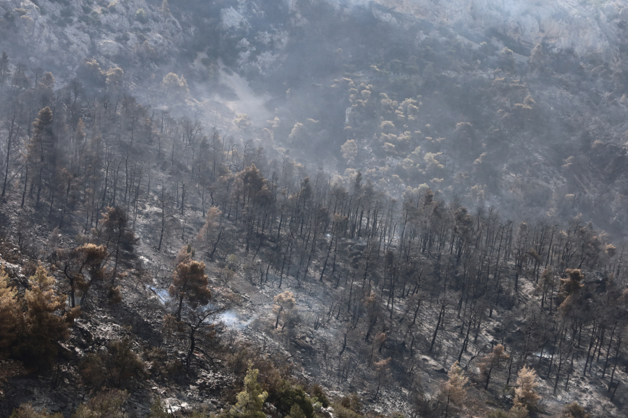 Σε ύφεση η φωτιά στην Πάρνηθα, άλλη μια δύσκολη νύχτα στον Έβρο - «Στάχτη» πάνω από 650.000 στρέμματα, 140 συλλήψεις για εμπρησμούς