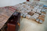 Αδήλωτα ρευστά, λαθραία τσιγάρα, αλλά και κροκόδειλους εντόπισαν τελωνειακοί
