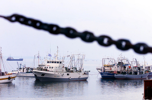 Νέα πρόσκληση αιτήσεων για ενίσχυση των αλιέων που επλήγησαν από τον Daniel