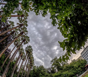 Καιρός: Ζέστη με 28 βαθμούς Κελσίου, συννεφιές και λασποβροχή αύριο, Παρασκευή