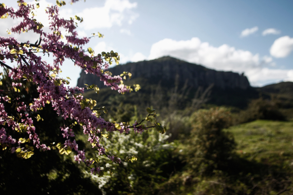 Καιρός: Λιακάδα στις περισσότερες περιοχές - Πού θα «χτυπήσει» 30άρια ο υδράργυρος