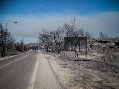 Χριστοδουλίδης για φωτιά στη Ρόδο: Η Κύπρος θα αναλάβει το κόστος αναδάσωσης