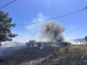 Φωτιά στη Λέσβο: Την έσβησαν αφού πρώτα έκαψε αυτοκίνητα (εικόνες και video)
