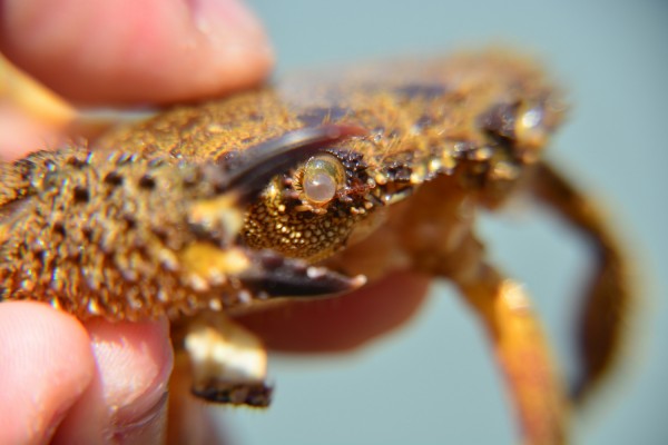 Photo: αρχείο dikaiologitika News