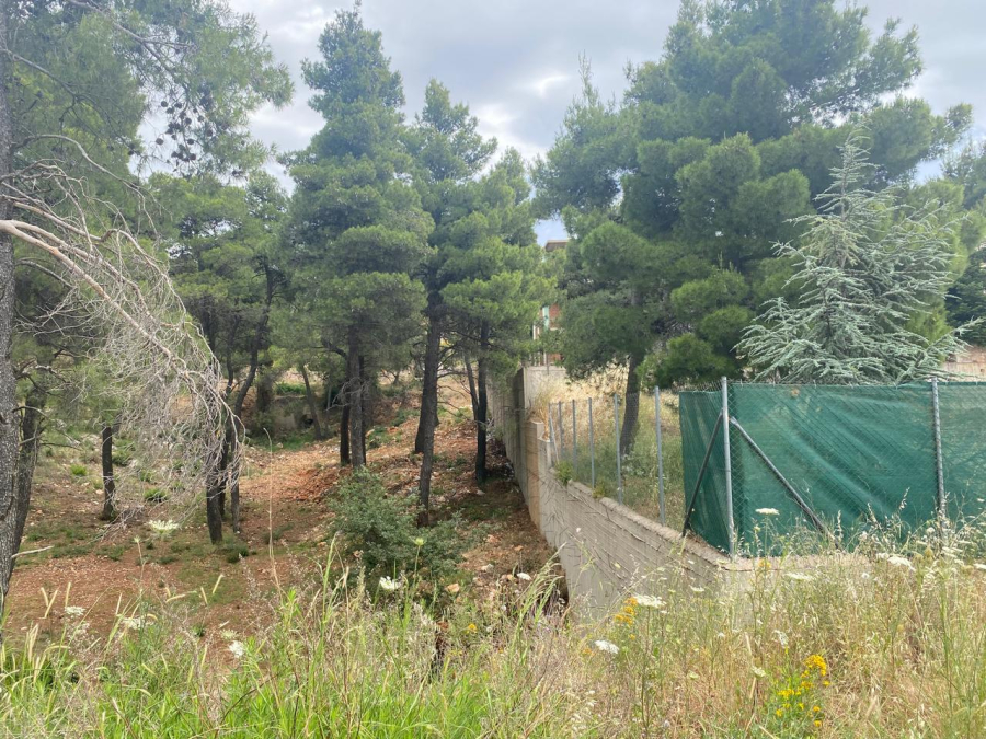 Όργιο άναρχης δόμησης μέσα στα καμένα: Βίλες ξεπηδούν ανάμεσα στις στάχτες