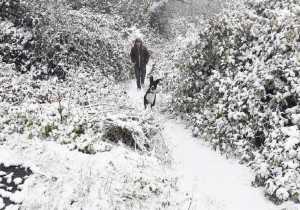 Σφοδρή χιονόπτωση αυτή την ώρα σε Τρίκαλα και Καρδίτσα