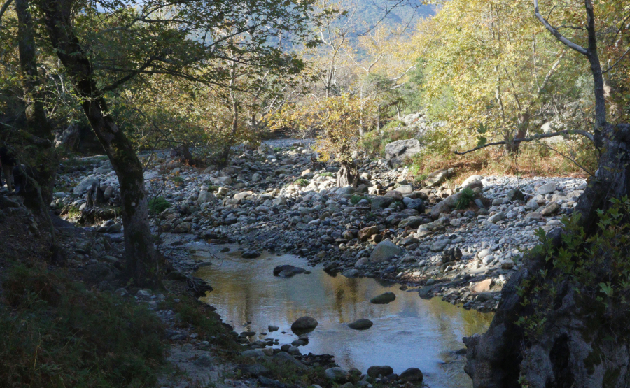 Συναγερμός στο φαράγγι του Δικτάμου για περιπατητή
