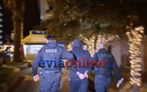 Δολοφονία στην Εύβοια: Προφυλακιστέος και ο γαμπρός του θύματος