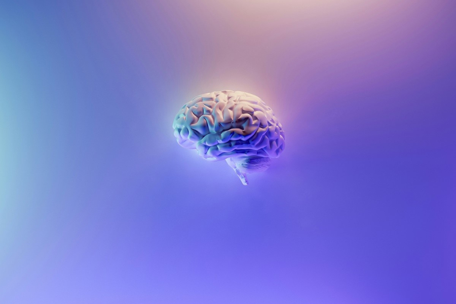 Το λαχανικό που μειώνει τον κίνδυνο της άνοιας, σύμφωνα με μελέτη