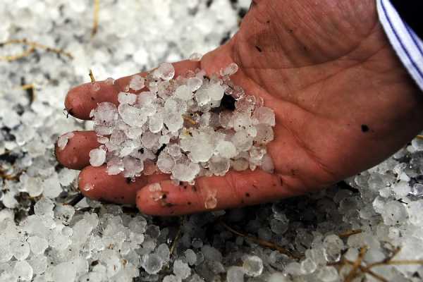 Τρίκαλα: Χιλιάδες στρέμματα έχουν καταστραφεί από τη χαλαζόπτωση και την ανεμοθύελλα