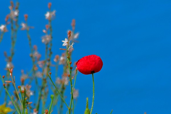 Με σύμμαχο τον καιρό η μεγάλη έξοδος των εκδρομέων του Πάσχα