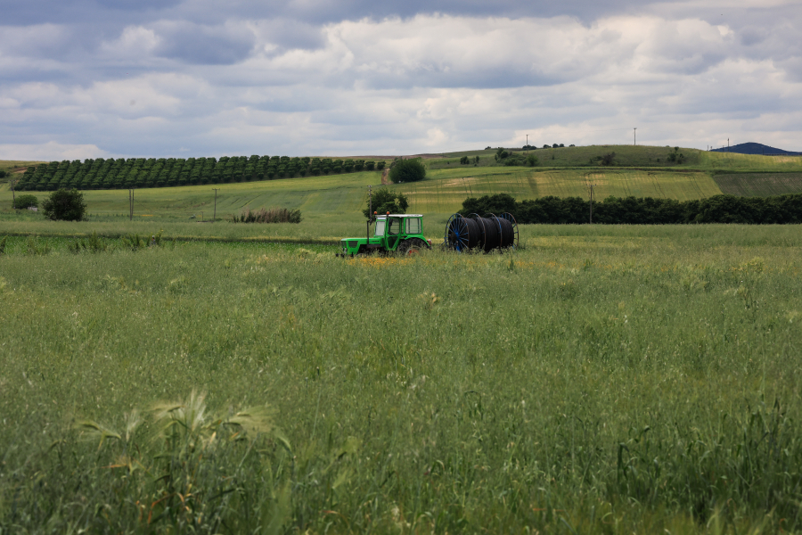 From Fields to Supermarkets: How Greece’s Agricultural Crisis Is Hitting Both Farmers and Consumers