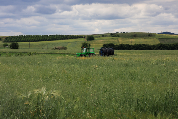 From Fields to Supermarkets: How Greece’s Agricultural Crisis Is Hitting Both Farmers and Consumers