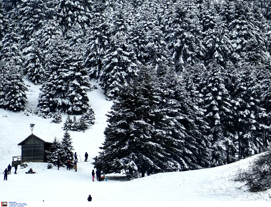 Σέλι Ημαθίας: Αγωνία για τον 18χρονο που αγνοείται - Δεν βρέθηκε κανένα ίχνος του