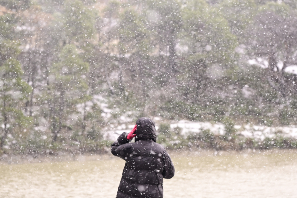 ΜΙΧΑΛΗΣ ΚΑΡΑΓΙΑΝΝΗΣ / EUROKINISSI