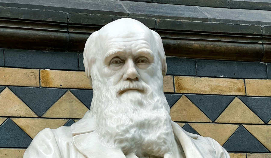 Σαν σήμερα γεννήθηκε ο Δαρβίνος