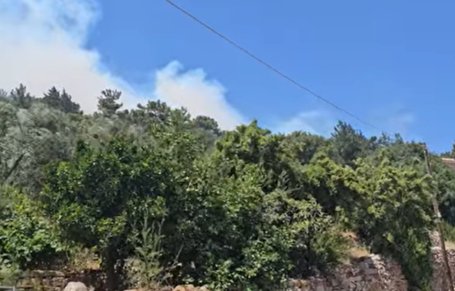 Φωτιά στη Χίο: Νέο 112