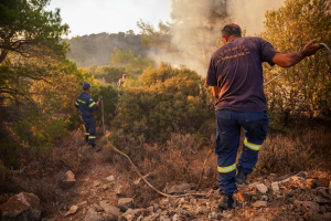 Πυρκαγιές: Στις 37 οι συλλήψεις για εμπρησμό μέχρι τώρα - Πόσες φωτιές εκδηλώθηκαν το τελευταίο 24ωρο