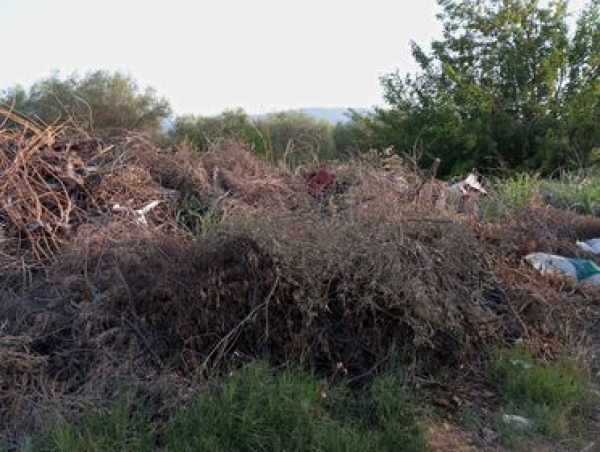 Στο Δημητρίτσι Σερρών... παίζουν με τη φωτιά - Φωτογραφίες από ακαθάριστα οικόπεδα