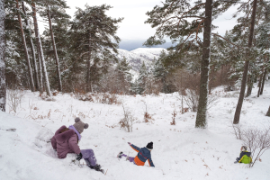 Καιρός: Προ των πυλών ψυχρή «εισβολή» με κρύο και χιόνια, οι περιοχές στον πάγο - Η πρόγνωση Κολυδά