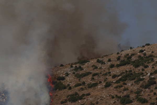 Νέα φωτιά τώρα στη Θήβα απειλεί σπίτια