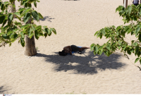 Σάκης Αρναούτογλου: Ποια μέρα θα χτυπήσει «κόκκινο» ο υδράργυρος