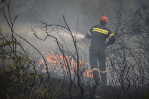 Δώδεκα δασικές πυρκαγιές εκδηλώθηκαν από το πρωί έως το βράδυ της Παρασκευής σε όλη την Ελλάδα