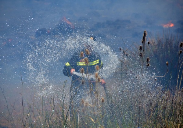 Τρίκαλα: Υπό έλεγχο η πυρκαγιά στα Ανταλλάξιμα