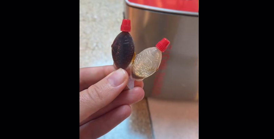 Γιατί απαγορεύονται τα πλαστικά ψαράκια σόγιας