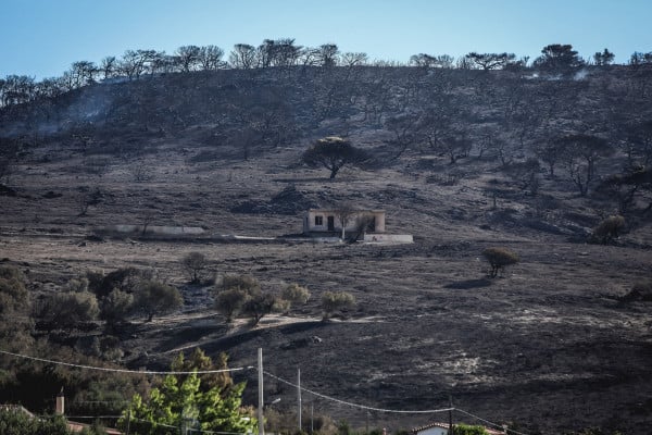 Καλύβια: Η επόμενη μέρα από τη μεγάλη φωτιά - Λίγα τα καμένα σπίτια, κάηκαν δασικές περιοχές