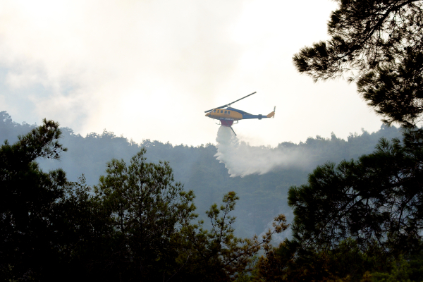Μεγάλη φωτιά τώρα και στην Στεφάνη Βοιωτίας - Επιχειρούν 8 εναέρια