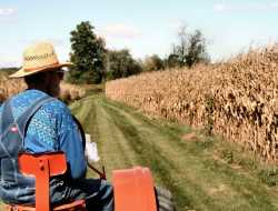 Κούρεμα στα αγροτικά δάνεια
