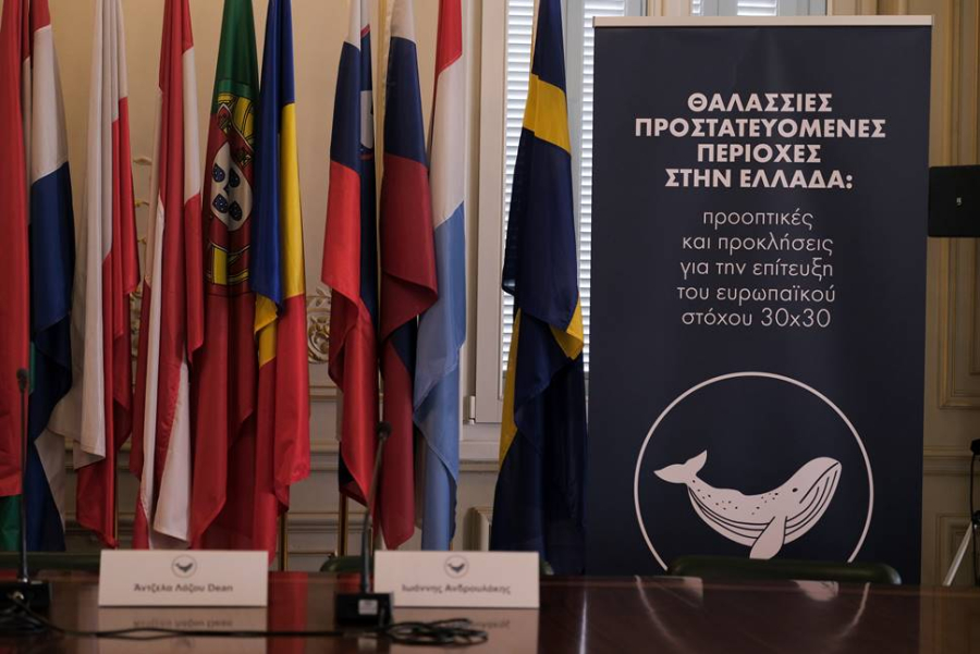 Πώς θα επιτύχουμε τον στόχο της ΕΕ για τις Θαλάσσιες Προστατευόμενες Περιοχές;