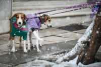 Κλείδωσε ο καιρός την Πρωτοχρονιά με τσουχτερό κρύο και λίγα χιόνια