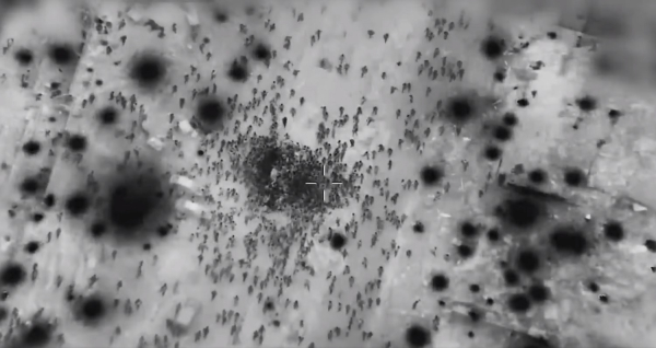 Twitter: צבא ההגנה לישראל (@idfonline)