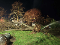 Πώς μέσα σε λίγα λεπτά η κακοκαιρία «σάρωσε» τα πάντα στην Αλεξανδρούπολη - Τι εξηγεί ο δήμαρχος