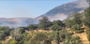 Φωτιά τώρα στη Σαμοθράκη - Ήχησε το 112