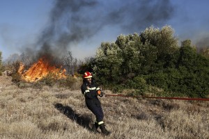 Φωτιά σε δασική έκταση στις Σπέτσες