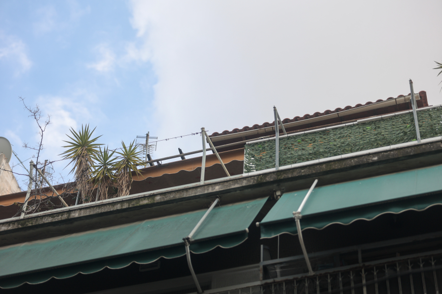 «Χαμόγελο του Παιδιού» για την φρίκη στην Κυψέλη: Βασάνιζαν και την αδελφή του 7χρονου, πώς αυτή σώθηκε