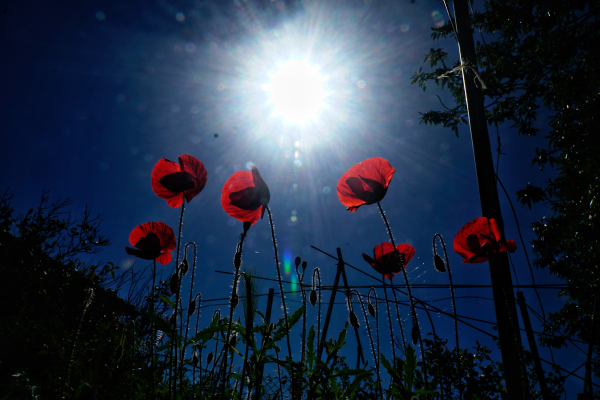 Κλέαρχος Μαρουσάκης: Δύο 24ωρα ακόμη με άστατο καιρό - «Ευχάριστη» έκπληξη με τη θερμοκρασία τη Μεγάλη Εβδομάδα
