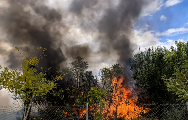 ΚΚΕ για φωτιά στην Κερατέα: Υπάρχει ο «εμπρηστής» που λέγεται κακοσυντηρημένο δίκτυο του ΔΕΔΔΗΕ