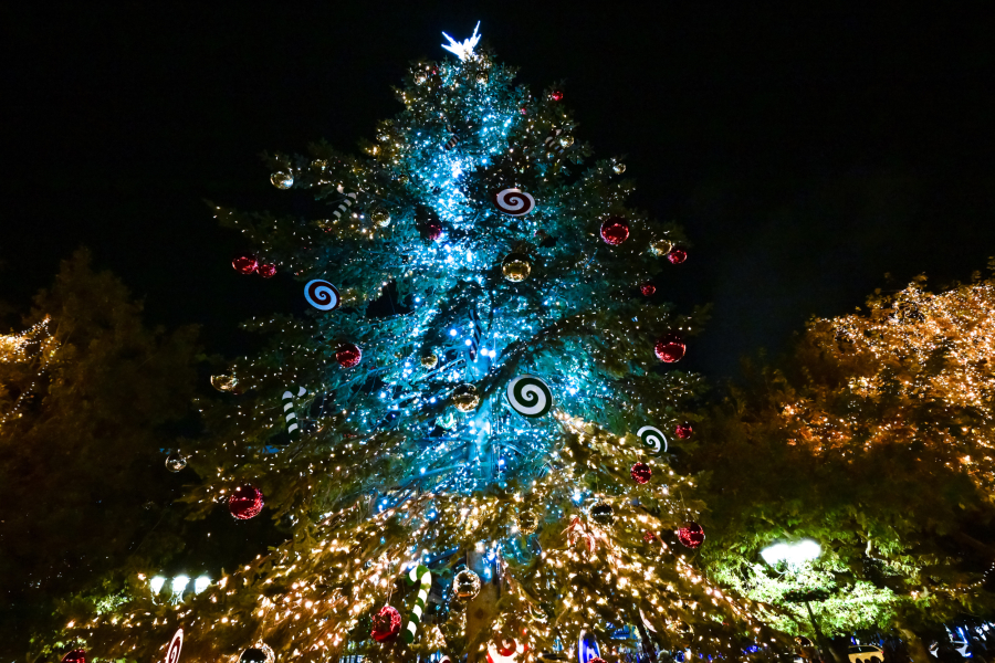 Άναψε το χριστουγεννιάτικο δέντρο στο Σύνταγμα (εικόνες & βίντεο)