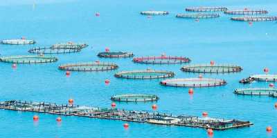 Νέο ετήσιο δελτίο δεδομένων μονάδων υδατοκαλλιεργειών