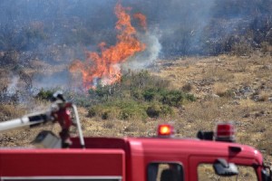 Υπό έλεγχο τέθηκε μικρής έκτασης πυρκαγιά στον Τύρναβο