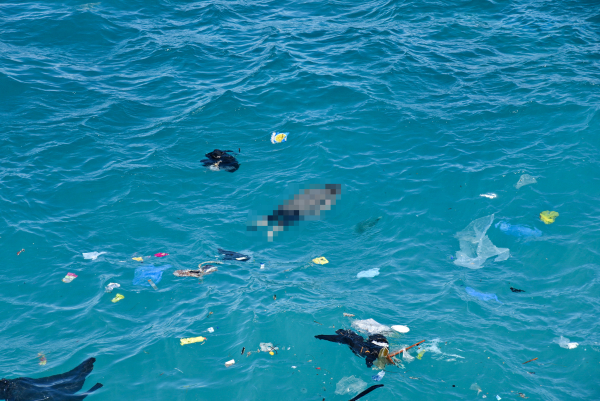 Ιταλία: Ναυάγιο με 40 νεκρούς στην κεντρική Μεσόγειο με προορισμό την Λαμπεντούζα