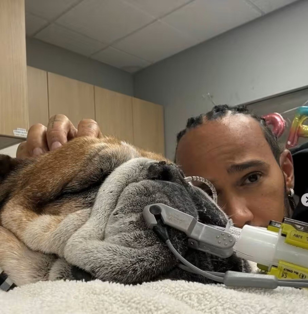 Λιούις Χάμιλτον: Η συγκινητική ανάρτηση της εκπαιδεύτριας του σκύλου του - Τι αποκαλύπτει για τον Ρόσκο